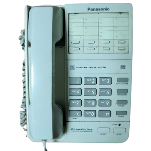 Panasonic