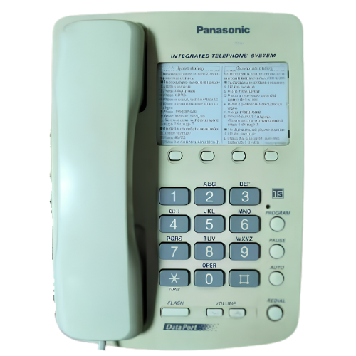 Panasonic