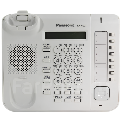 Panasonic